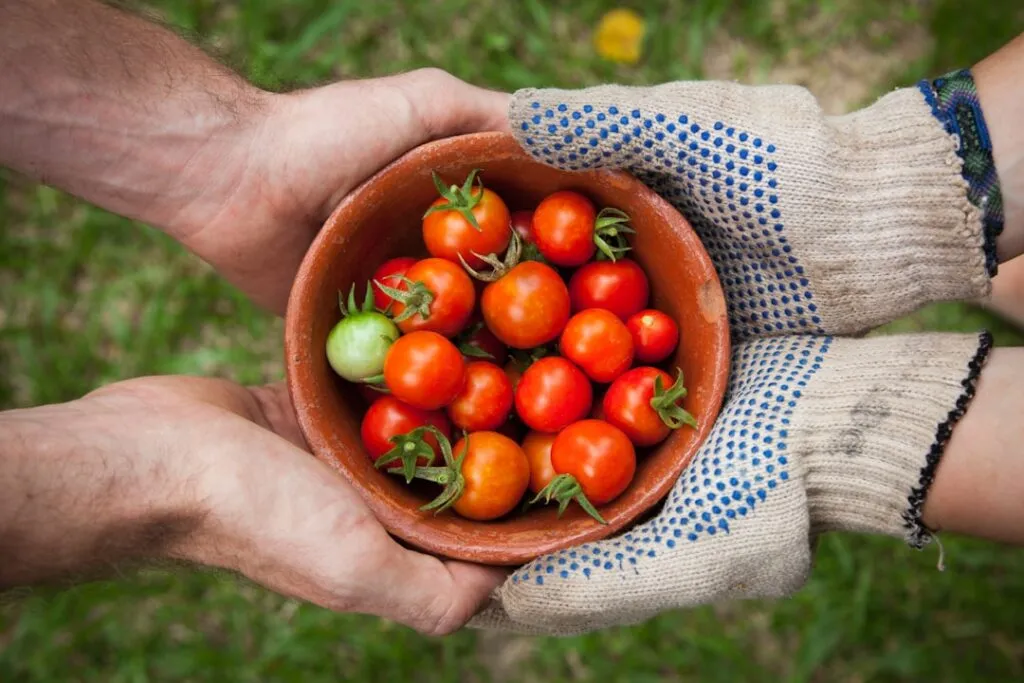 Photo Food scraps