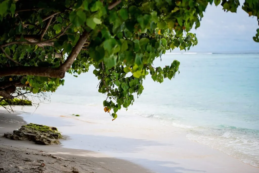 Photo Tropical paradise