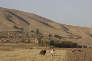Photo Rural Tourism Arad County - What Villages to Visit