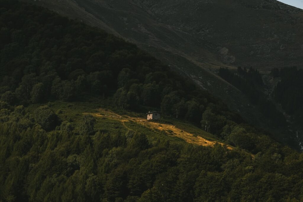 Photo Aleșd