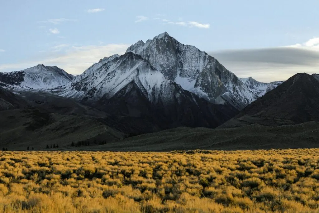 Photo best mountain identification apps