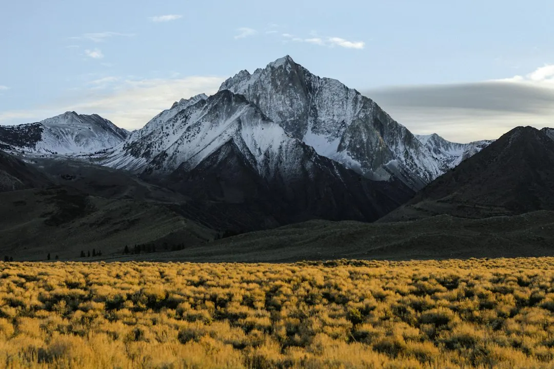 Photo best mountain identification apps
