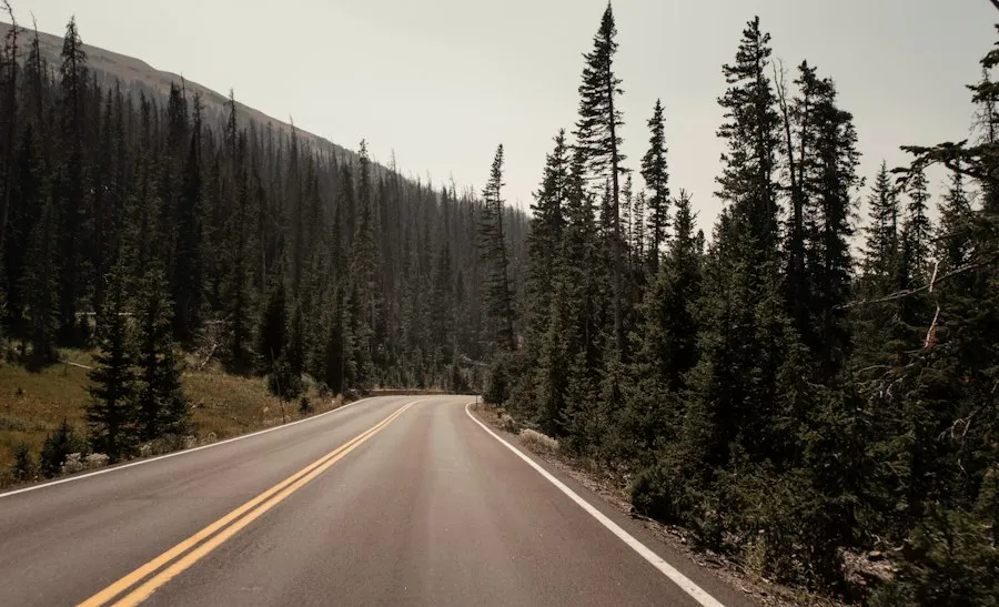 common road trip mistakes