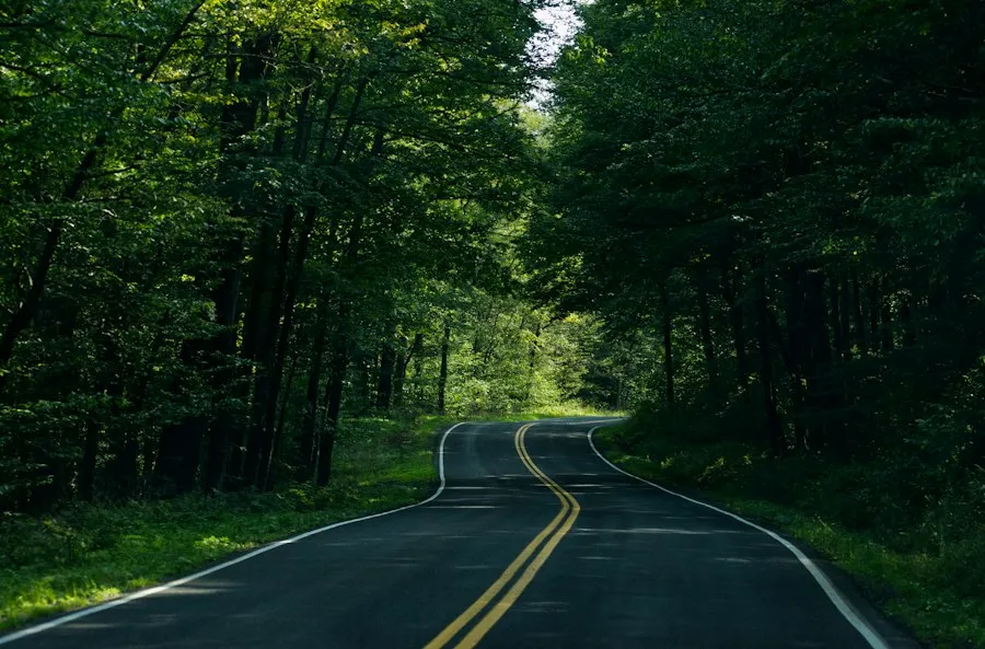 famous roads common mistakes